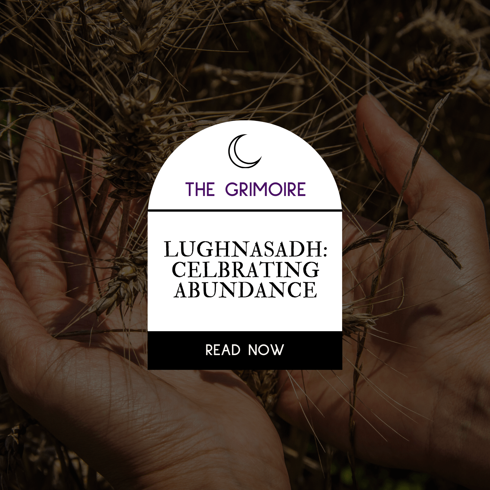 What is Lughnasadh
