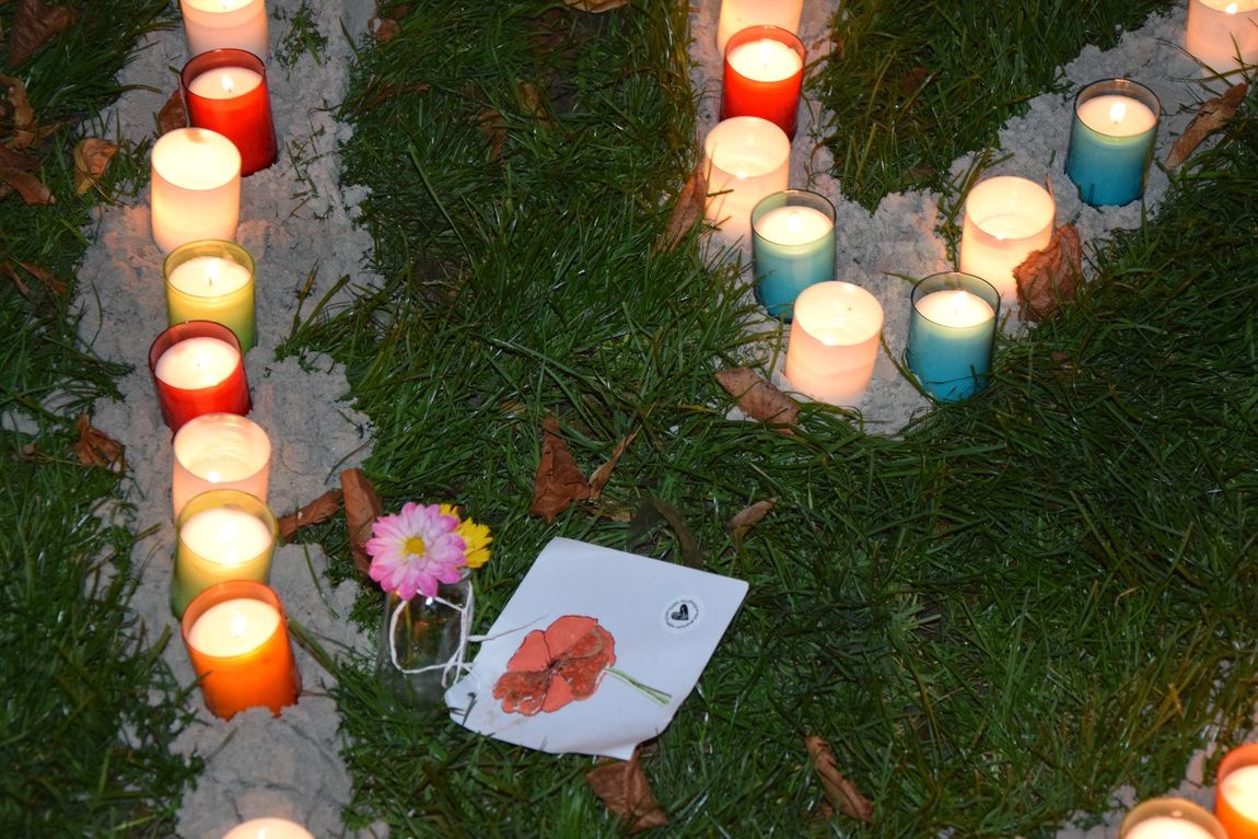 Kaarsen in de vorm van een hart op het gras, naast een roze bloem en een briefje met oranje rozenblaadjes.