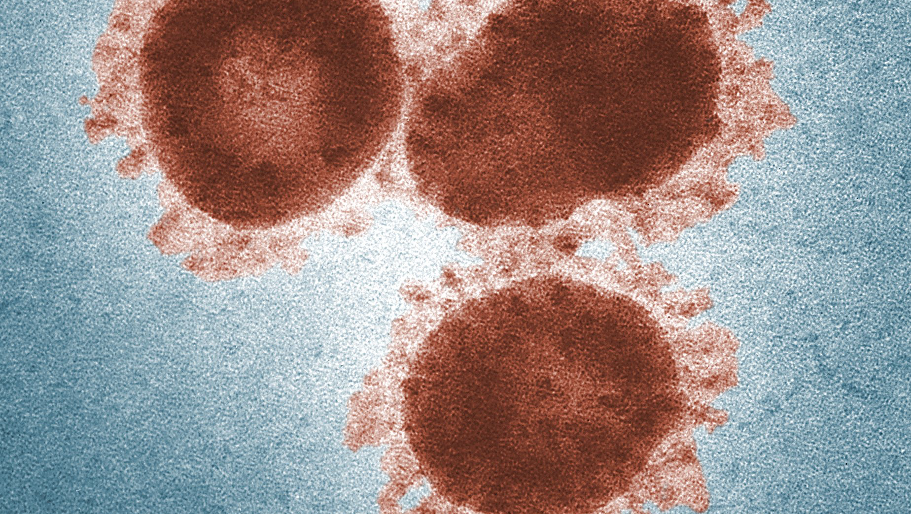 How Effective Is Wellis Air Disinfection System Against COVID-19?