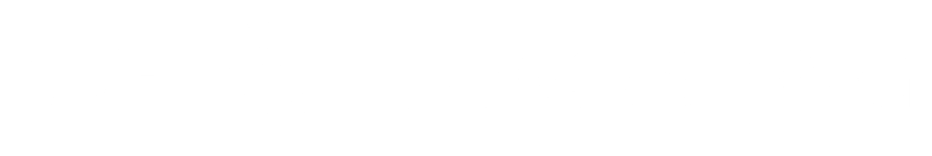 VVE Consulting