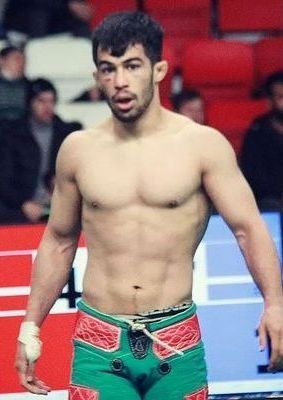 Alireza Goudarzi