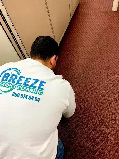 A worker wearing a white Breeze Carpet Cleaning shirt kneels to clean a maroon patterned office carpet.