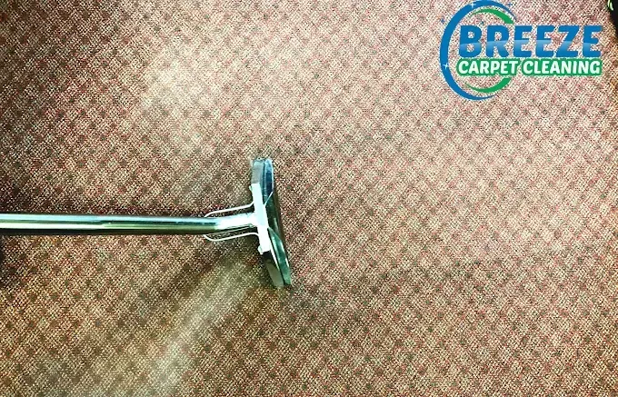 A silver carpet cleaning wand cleans a row on a patterned brown carpet, with a Breeze Carpet Cleaning logo in the corner.