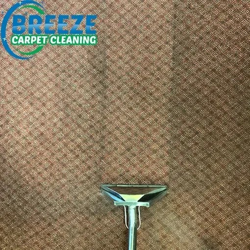 A carpet cleaning wand cleans a strip of a brown patterned carpet, showing a clear contrast between dirty and clean areas.
