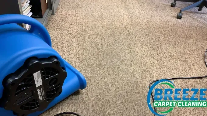 A blue air mover fan dries a carpeted office floor, with a Breeze Carpet Cleaning logo in the bottom right corner.