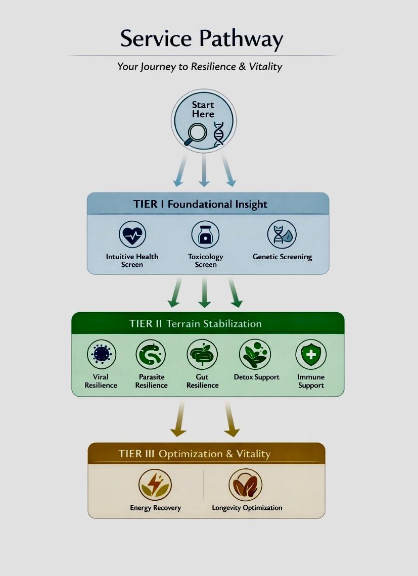 A flow chart titled Service Pathway, detailing three hierarchical tiers of wellness services from foundational to vital.