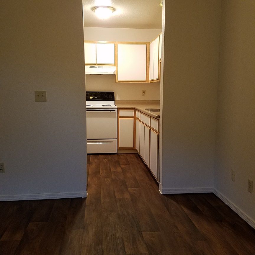 kitchen from living room