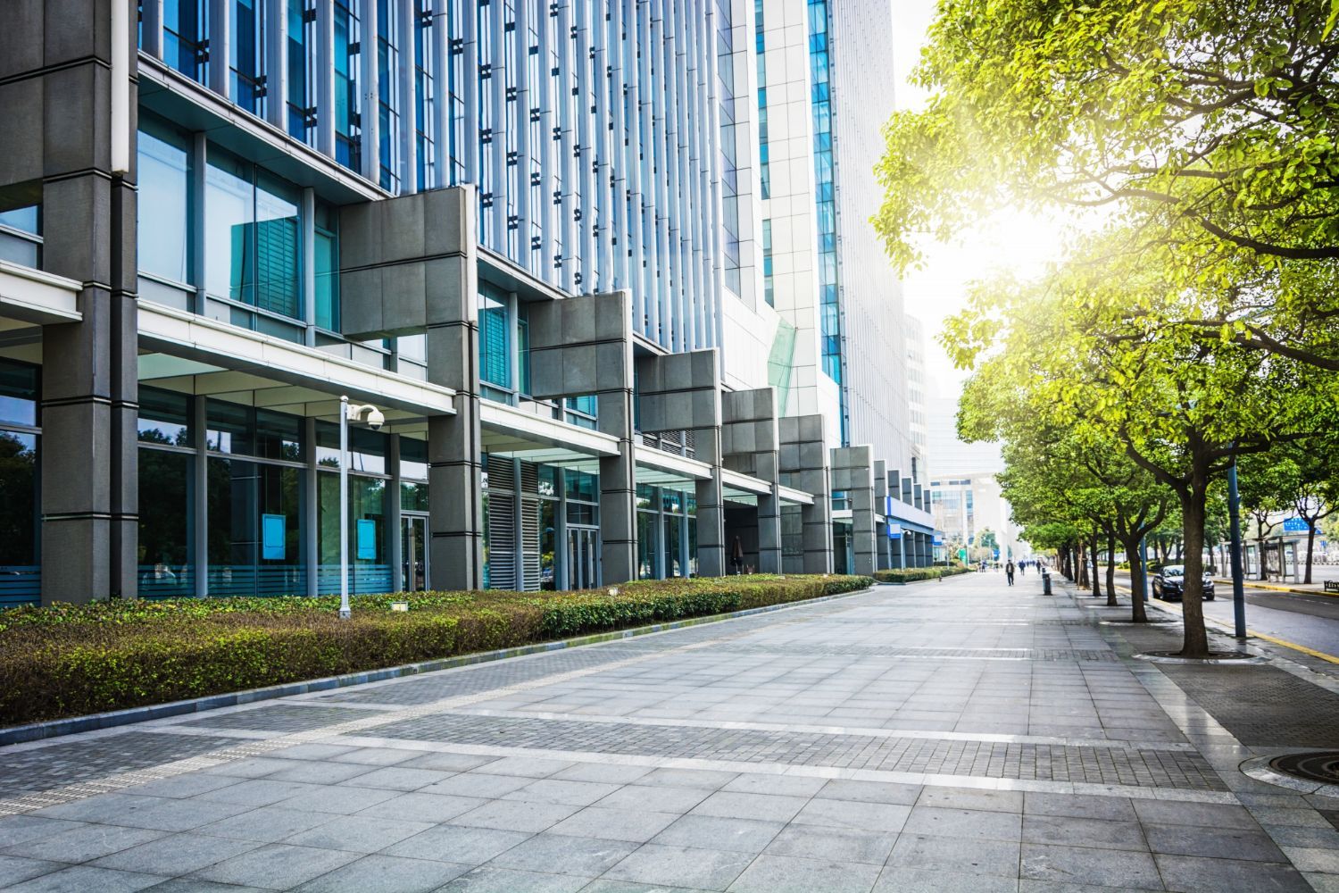 Empty modern city street beside tall glass office buildings, with trees and bright sunlight.