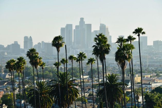 Palm trees silhouetted against a hazy downtown skyline under a pale sky.
