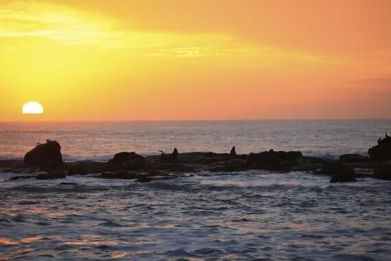 Pôr do sol sobre o oceano, com rochas escuras e ondas suaves sob um céu dourado