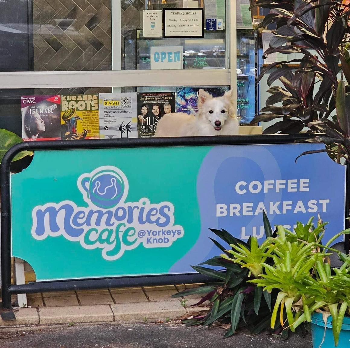 Dog at Memories Cafe, Yorkey's Knob — Memories Cafe @ Yorkeys Knob in Yorkeys Knob, QLD