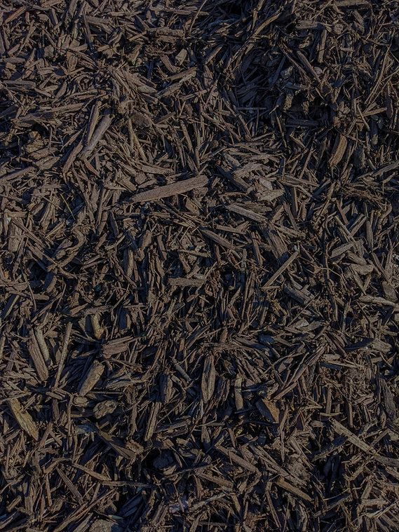 Cocoa Landscape Mulch | Wesley Chapel, FL