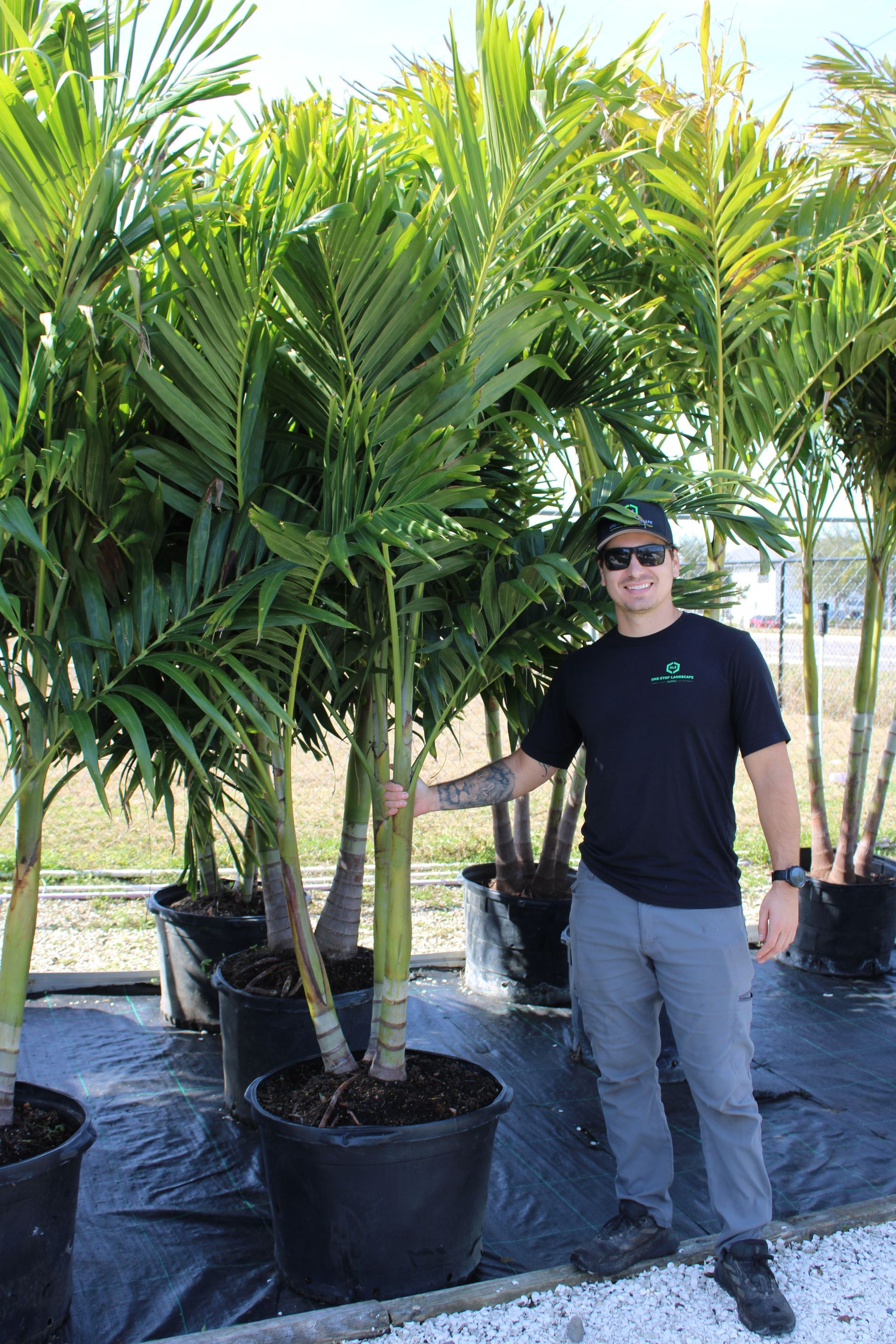 Landscaper | Wesley Chapel, FL