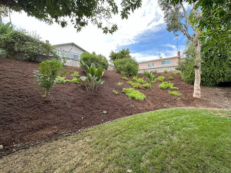 A lush green yard with a house in the background.