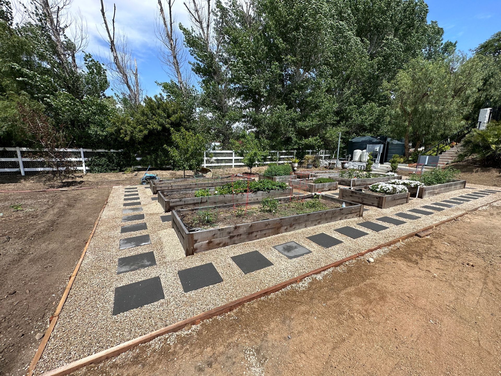 A garden with lots of plants and a fence in the background.