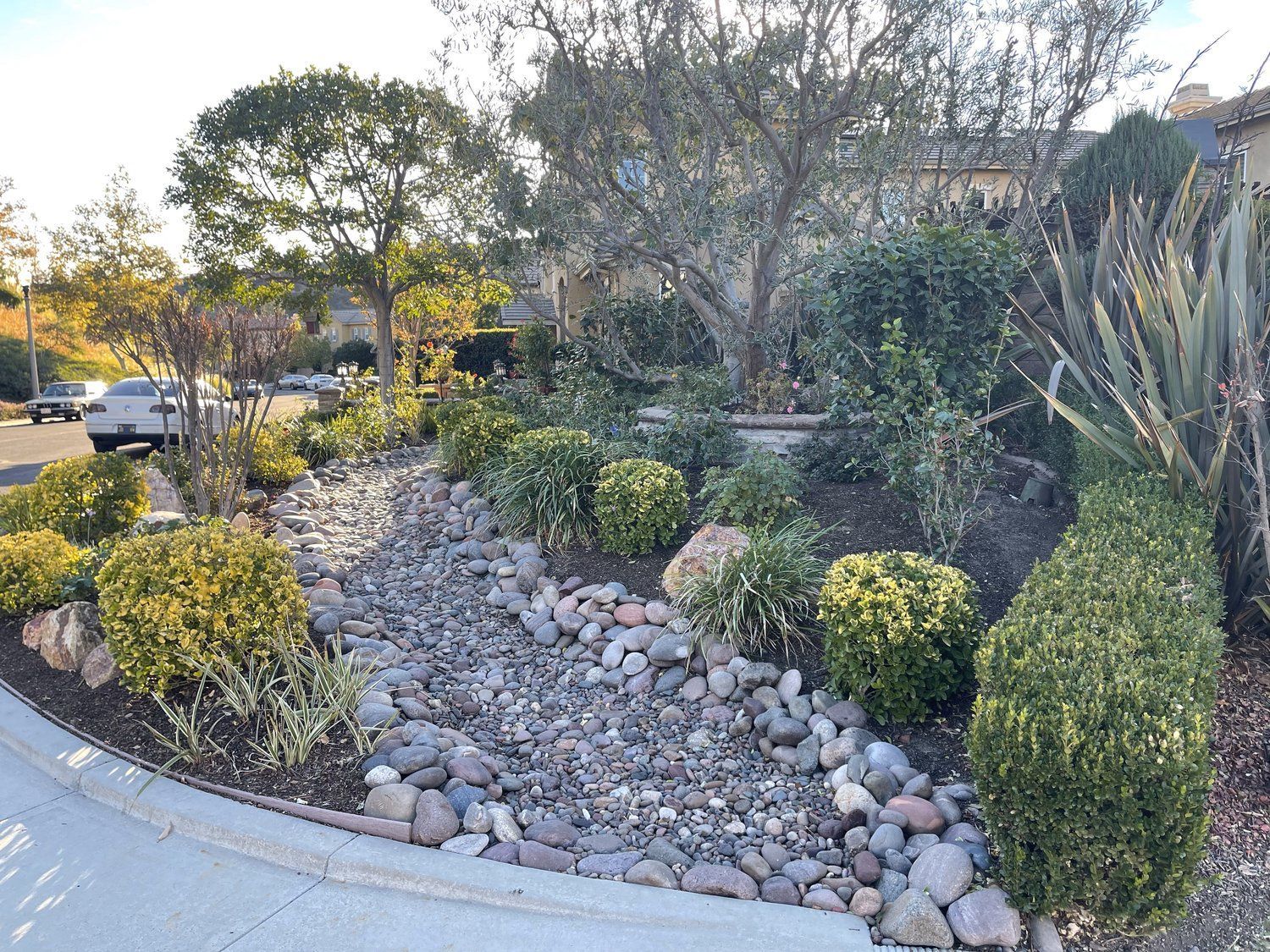 A lush green garden with rocks , bushes and trees.