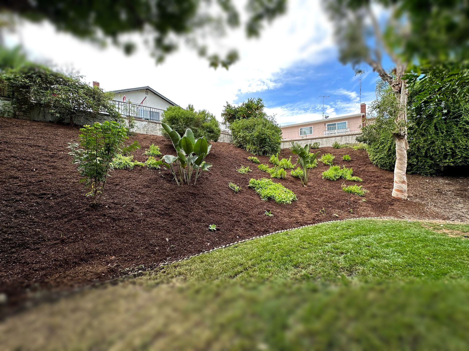 Landscape slope