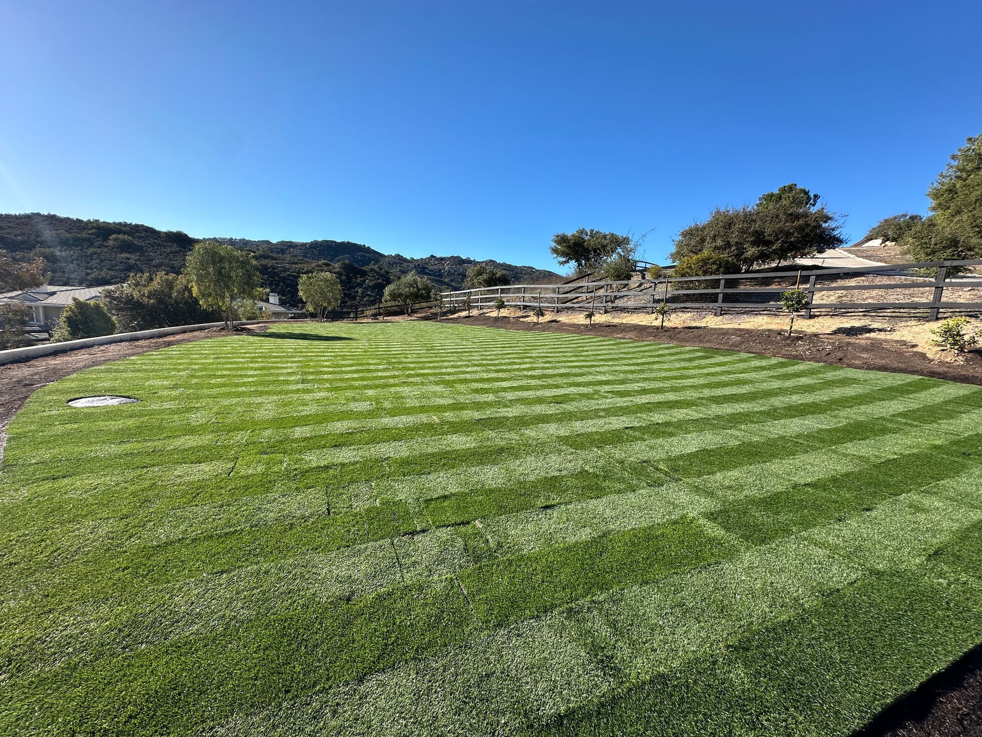 A lush green field of grass with a blue sky in the background.