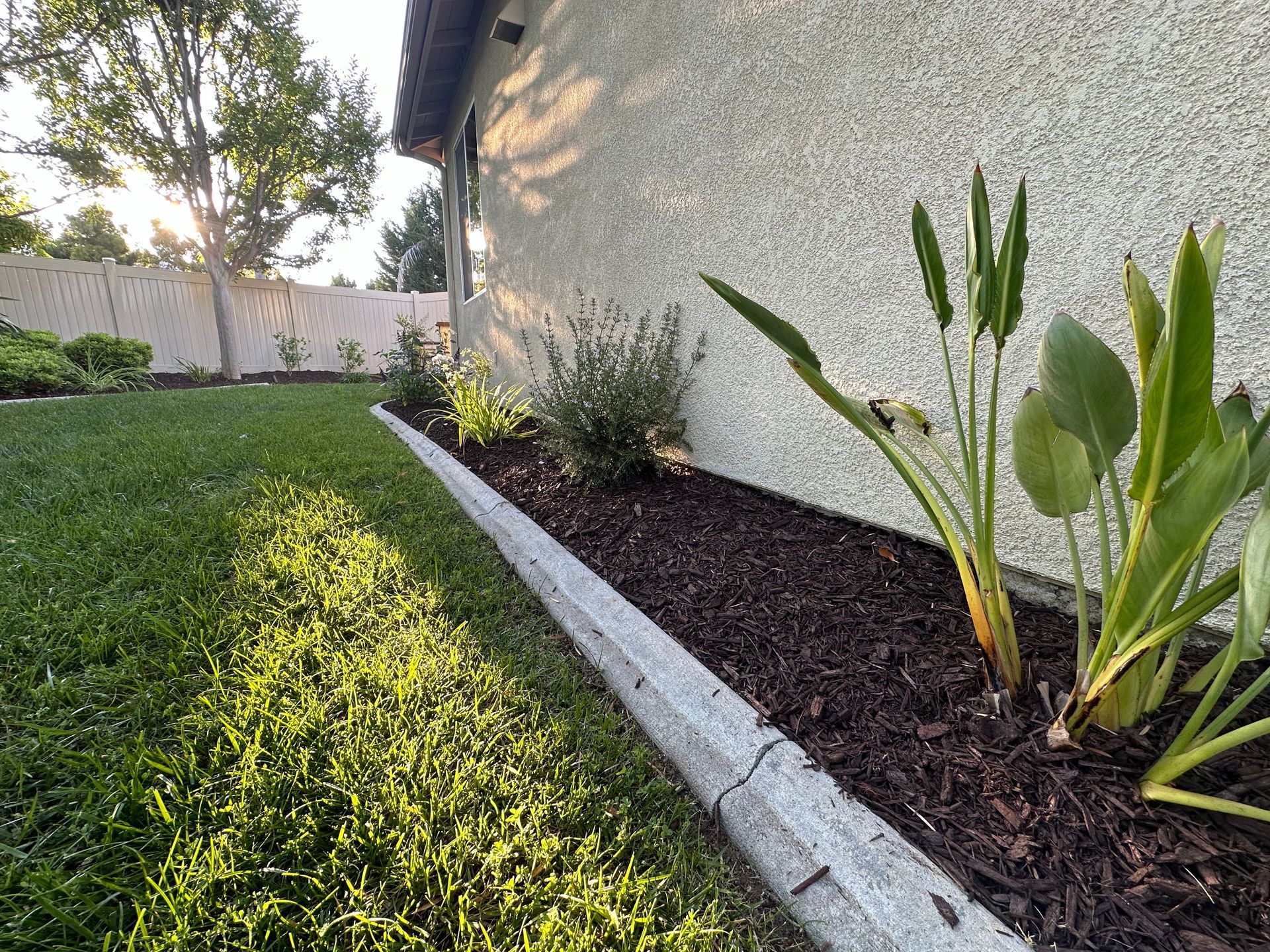A garden bed with plants and mulch in front of a house.