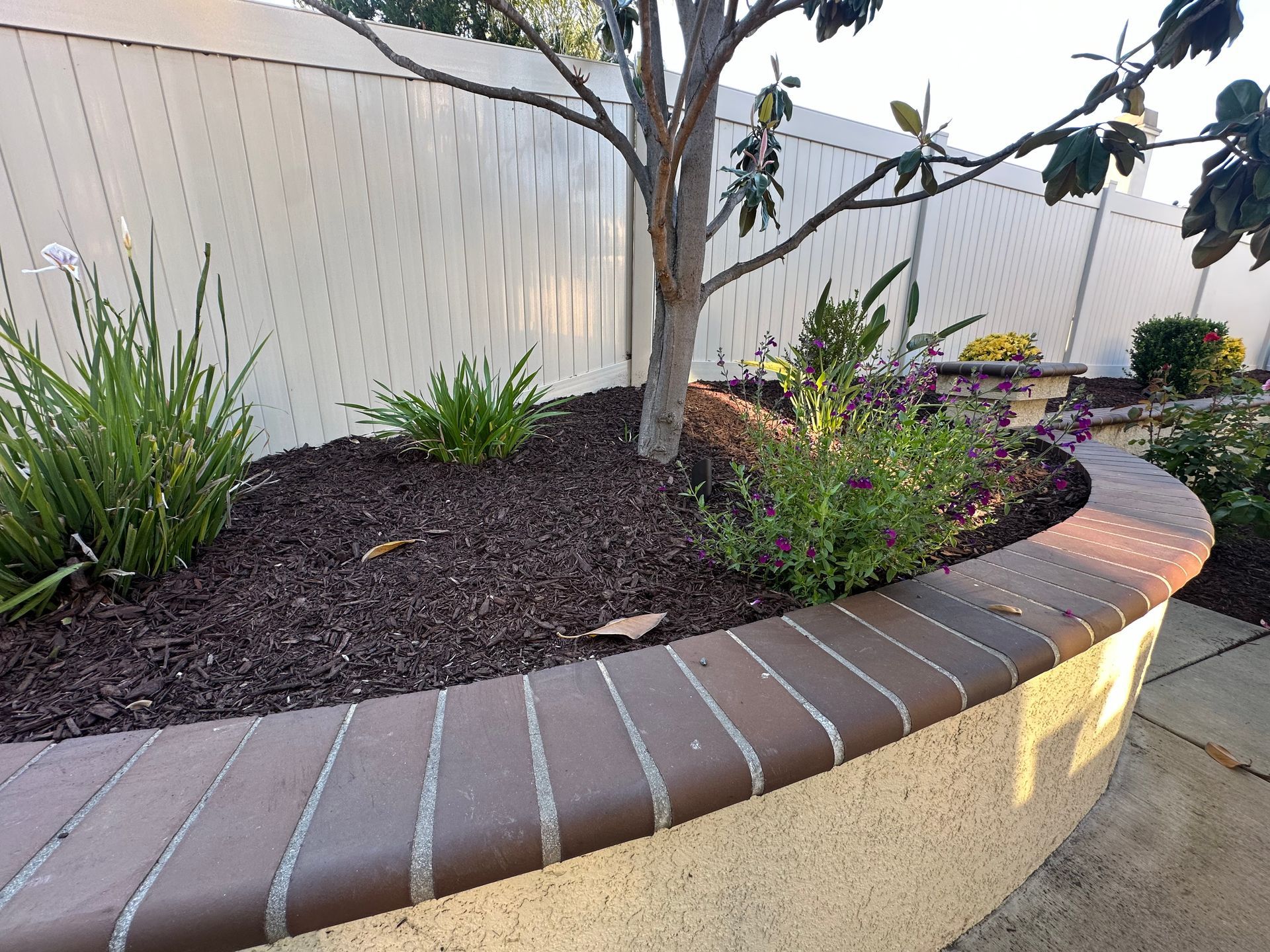 A tree in a garden with a white fence in the background