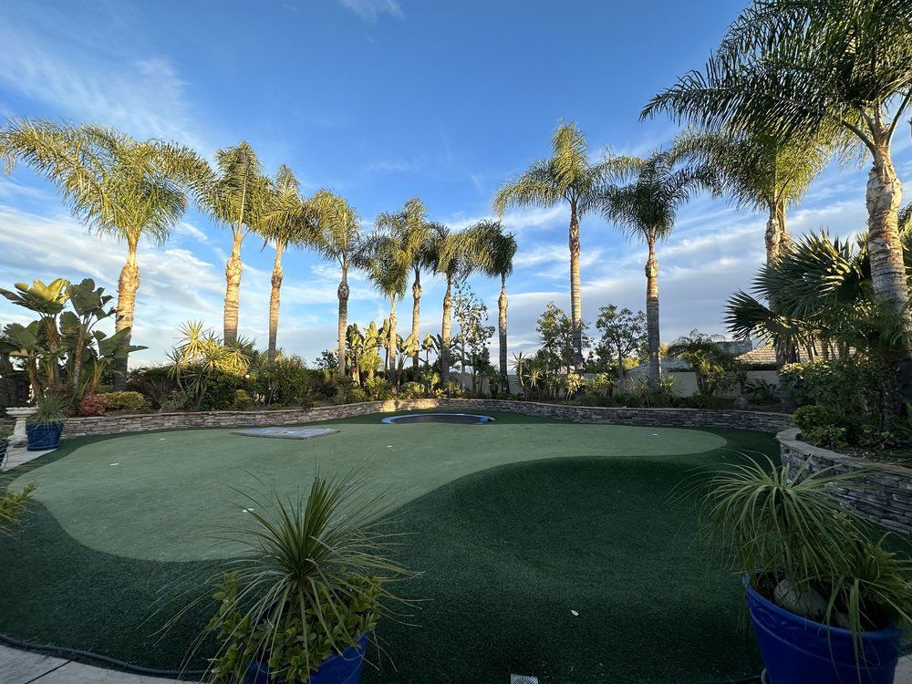 A putting green surrounded by palm trees on a sunny day