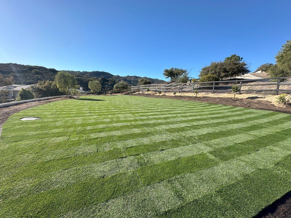 A lush green lawn with a fence in the background on a sunny day.