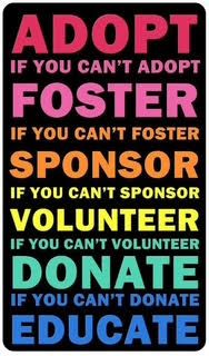 Bold poster listing ways to help: adopt, foster, sponsor, volunteer, donate, educate, in pink and blue text.