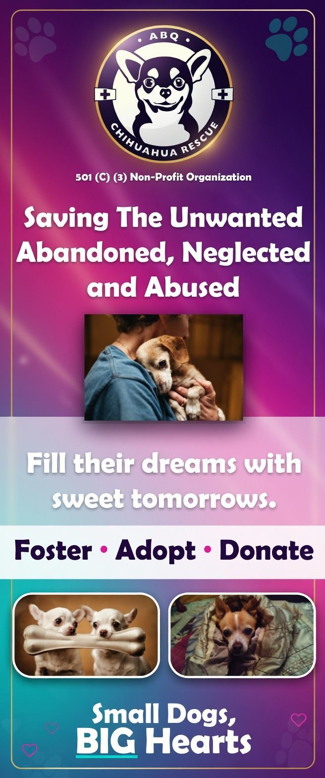 Purple pet adoption poster for Big Hearts Small Dogs, urging foster, adopt, or donate for abandoned animals.