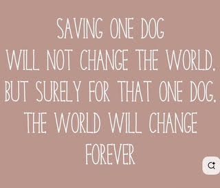 Quote on pink background: “Saving one dog will not change the world... the world will change forever.”