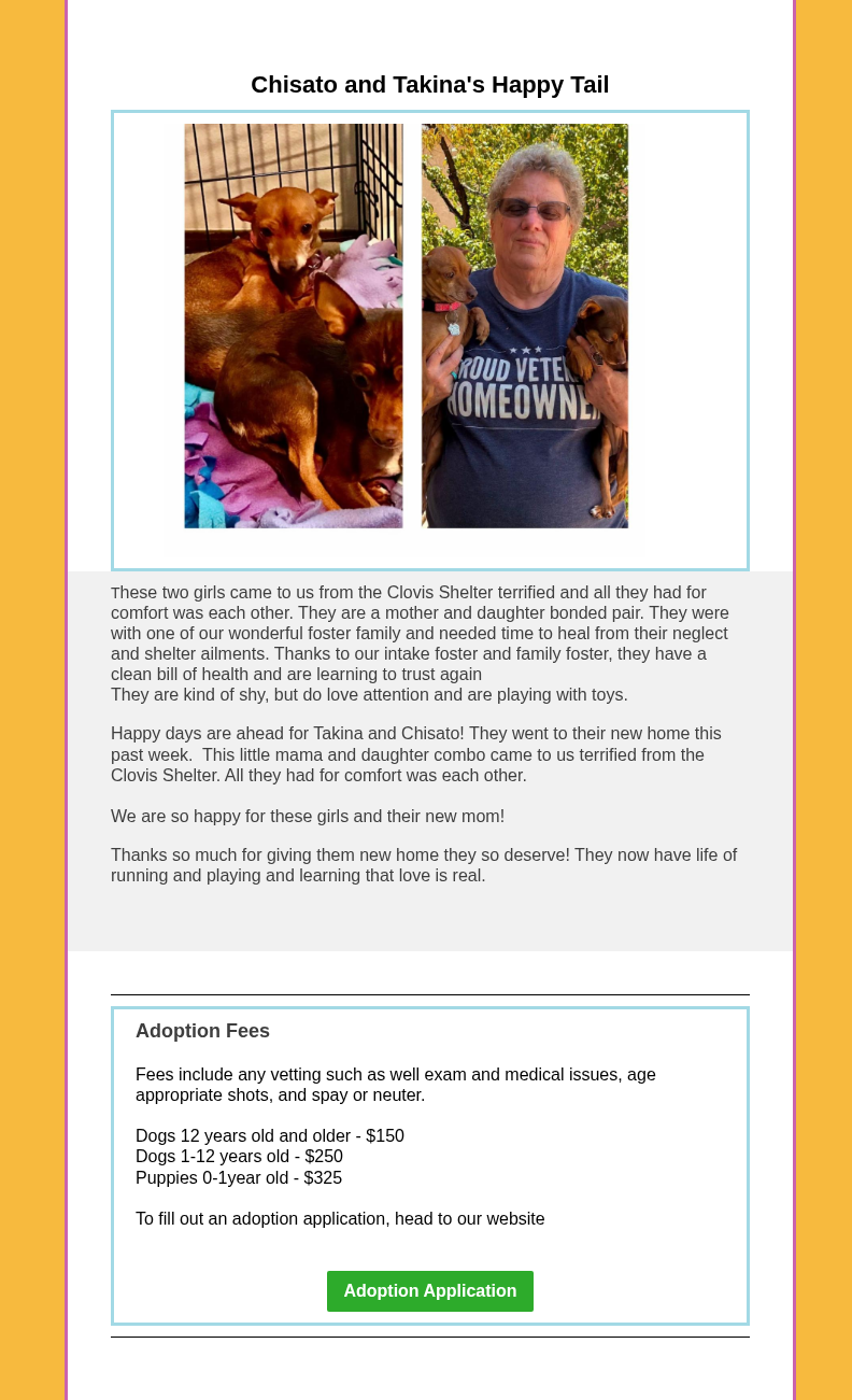Webpage screenshot with an adopt button and a cartoon person driving a purple car beside text.