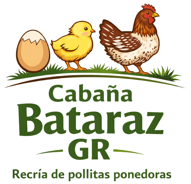 Logo: Egg, chick, and hen over green grass, with text