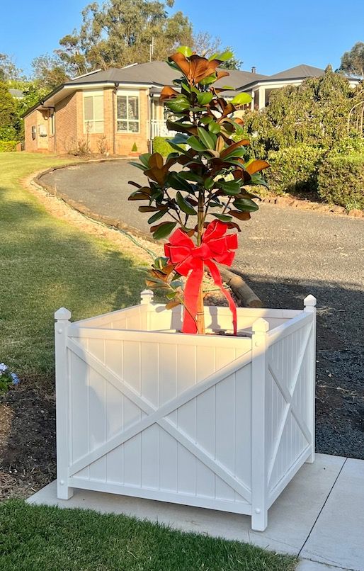 White planter box with a small potted tree and red bow on a driveway in front of a house
