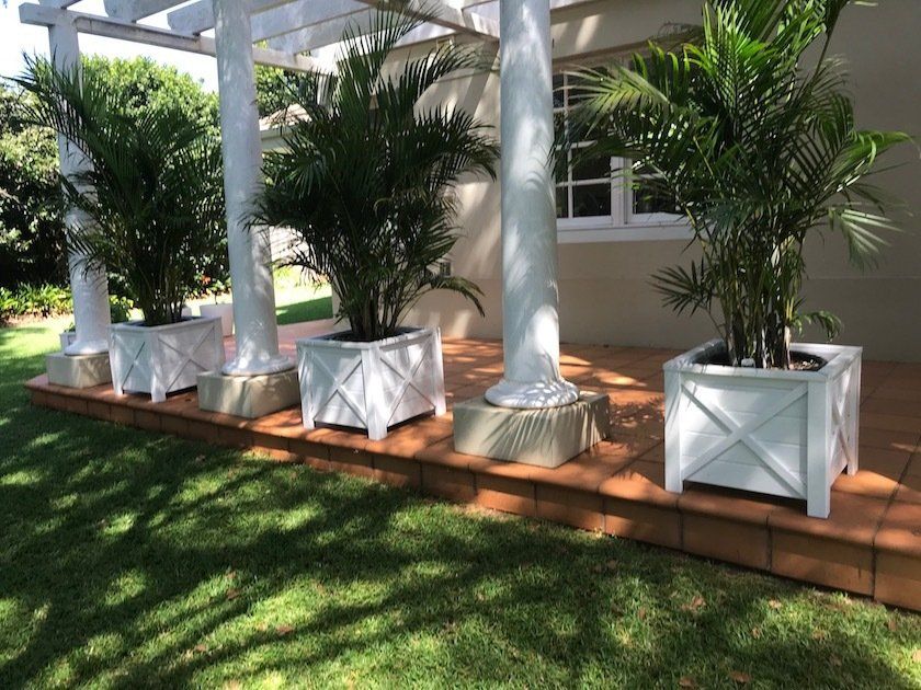 Row of potted palm plants on a brick planter beside a white building in sunlight