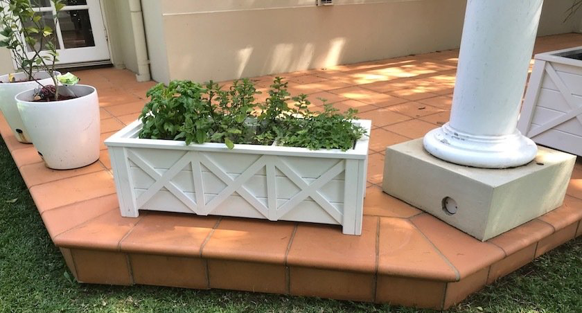 White planter box with green plants on a terracotta-tiled porch beside a white column