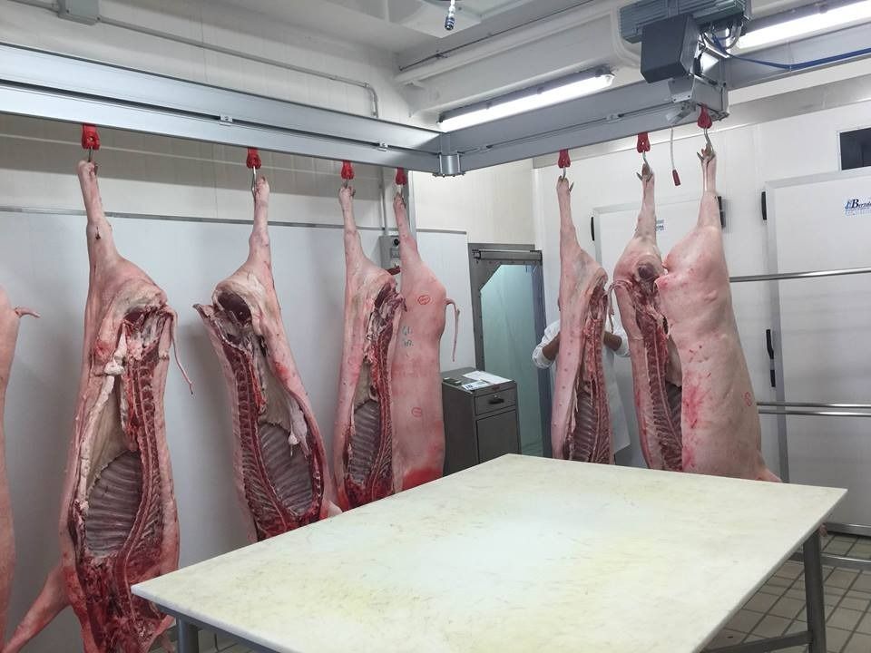 cella frigorifera di una macelleria