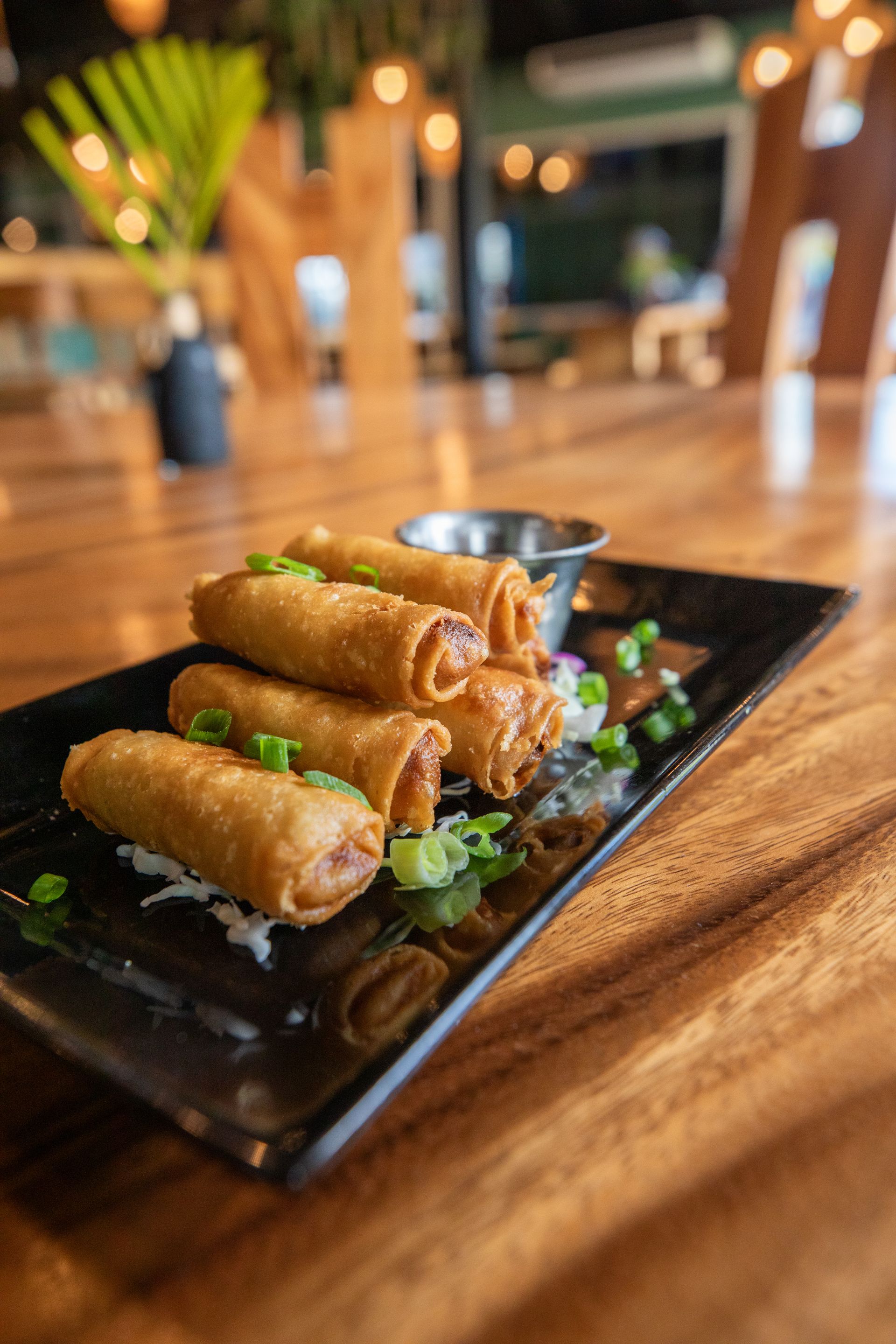 fried spring rolls
