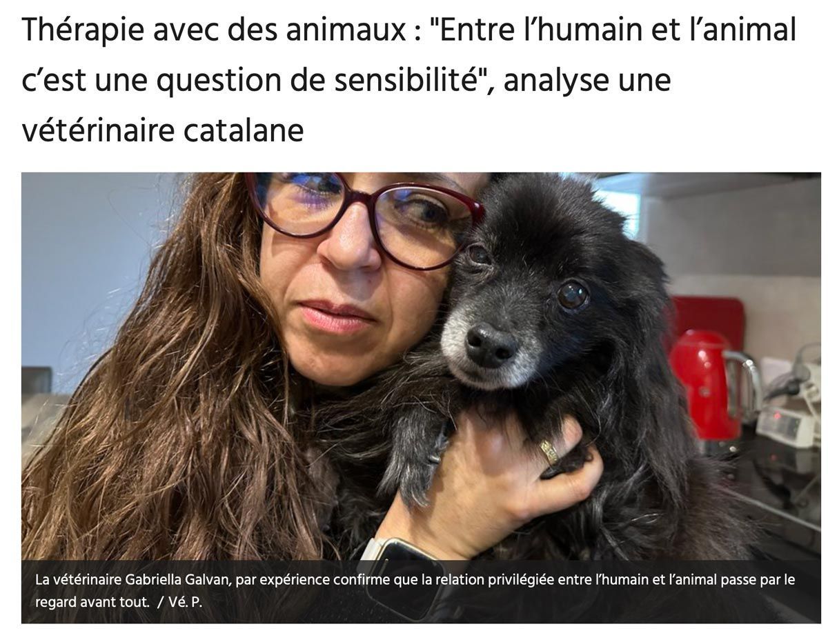 Un vétérinaire à lunettes tient un chien noir. Le texte au-dessus indique : « La zoothérapie : une question de sensibilité ».