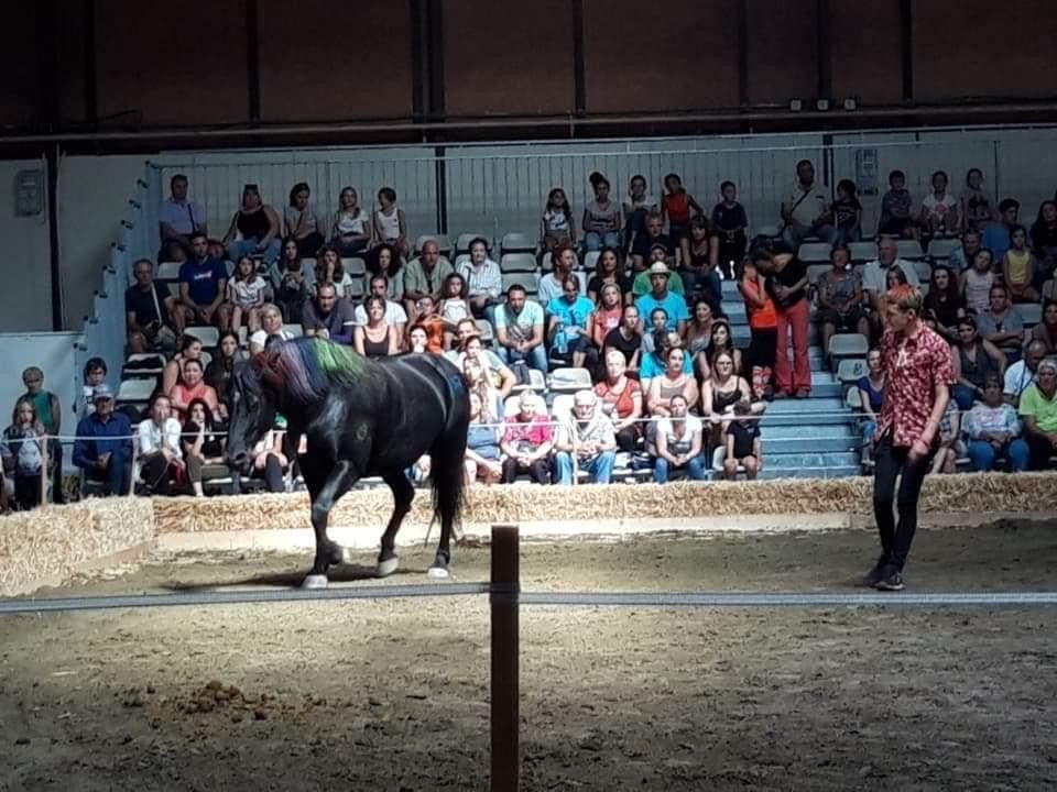 Un cheval dans une arène aux marques colorées, un artiste et un public dans un grand espace intérieur.