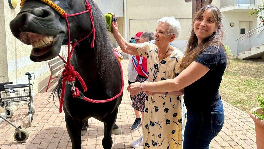 Une femme brosse un cheval noir ; une femme plus âgée et une autre personne sourient. À l’extérieur, sur un chemin de briques.