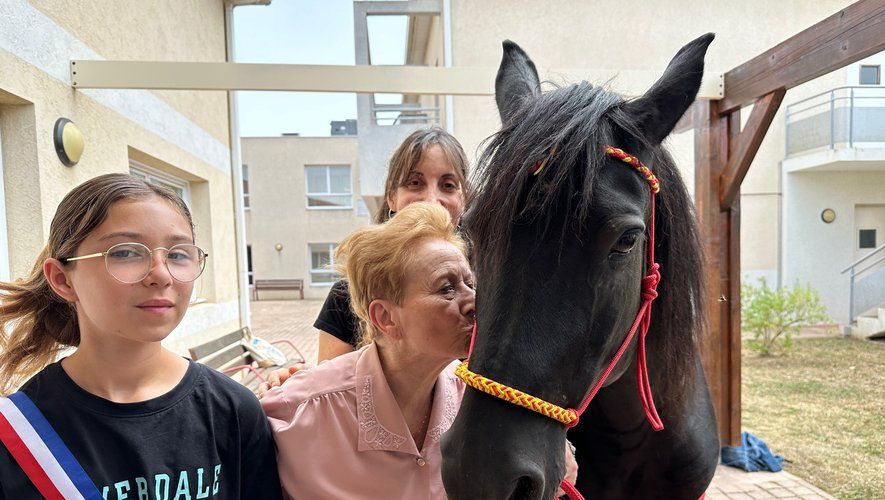 Trois personnes et un cheval noir en extérieur. Une femme embrasse le cheval ; deux autres personnes observent. Temps ensoleillé.