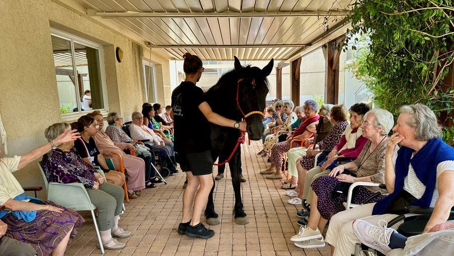 Un cheval noir est mené près d'un groupe de personnes assises sur un porche. Plusieurs personnes le touchent.
