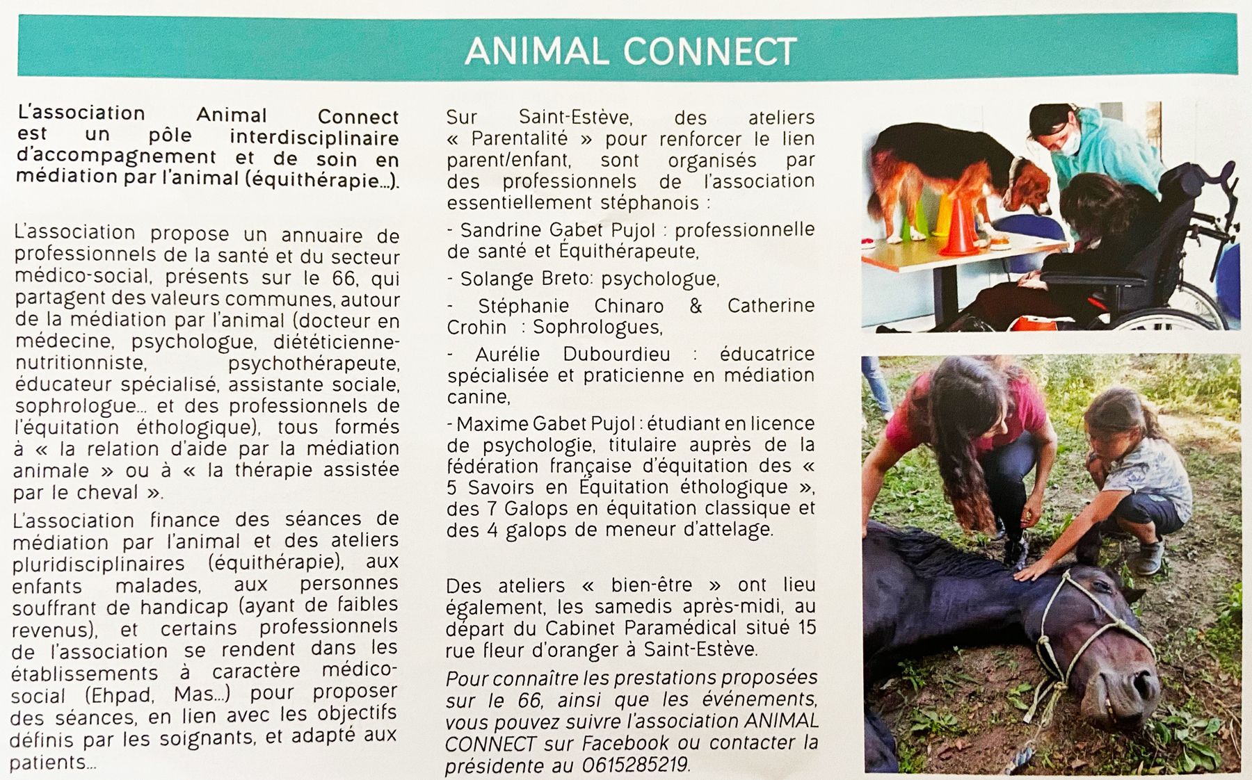 Textes et photos sur la zoothérapie. Des personnes interagissent avec des chiens et un cheval ; l’une d’elles est en fauteuil roulant.
