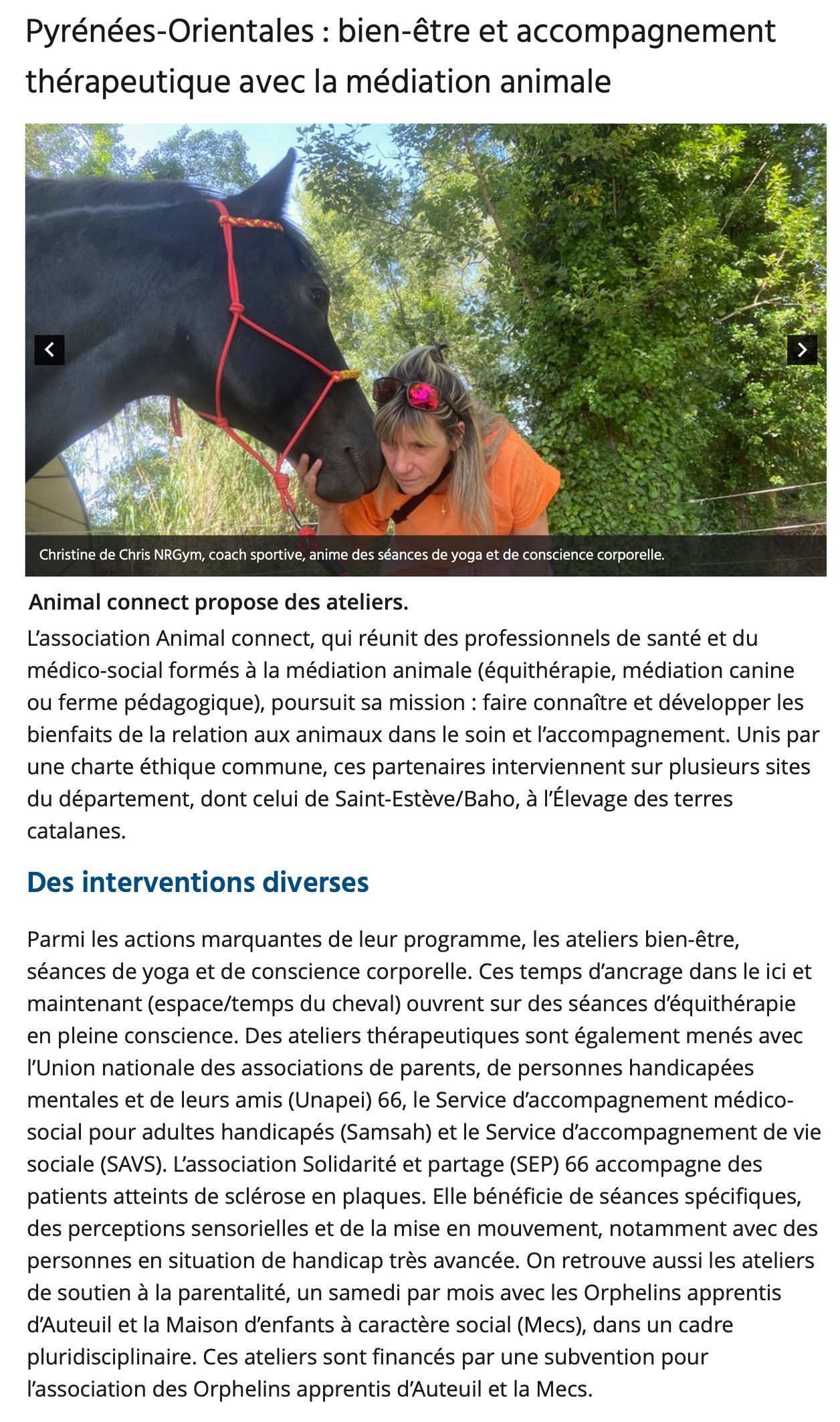 Une femme enlace un cheval noir dans un cadre extérieur ensoleillé. Le cheval porte un licol rouge.