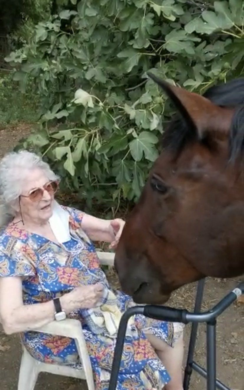 Une personne âgée en robe à motifs caresse un cheval brun à l'extérieur, près d'un feuillage vert.