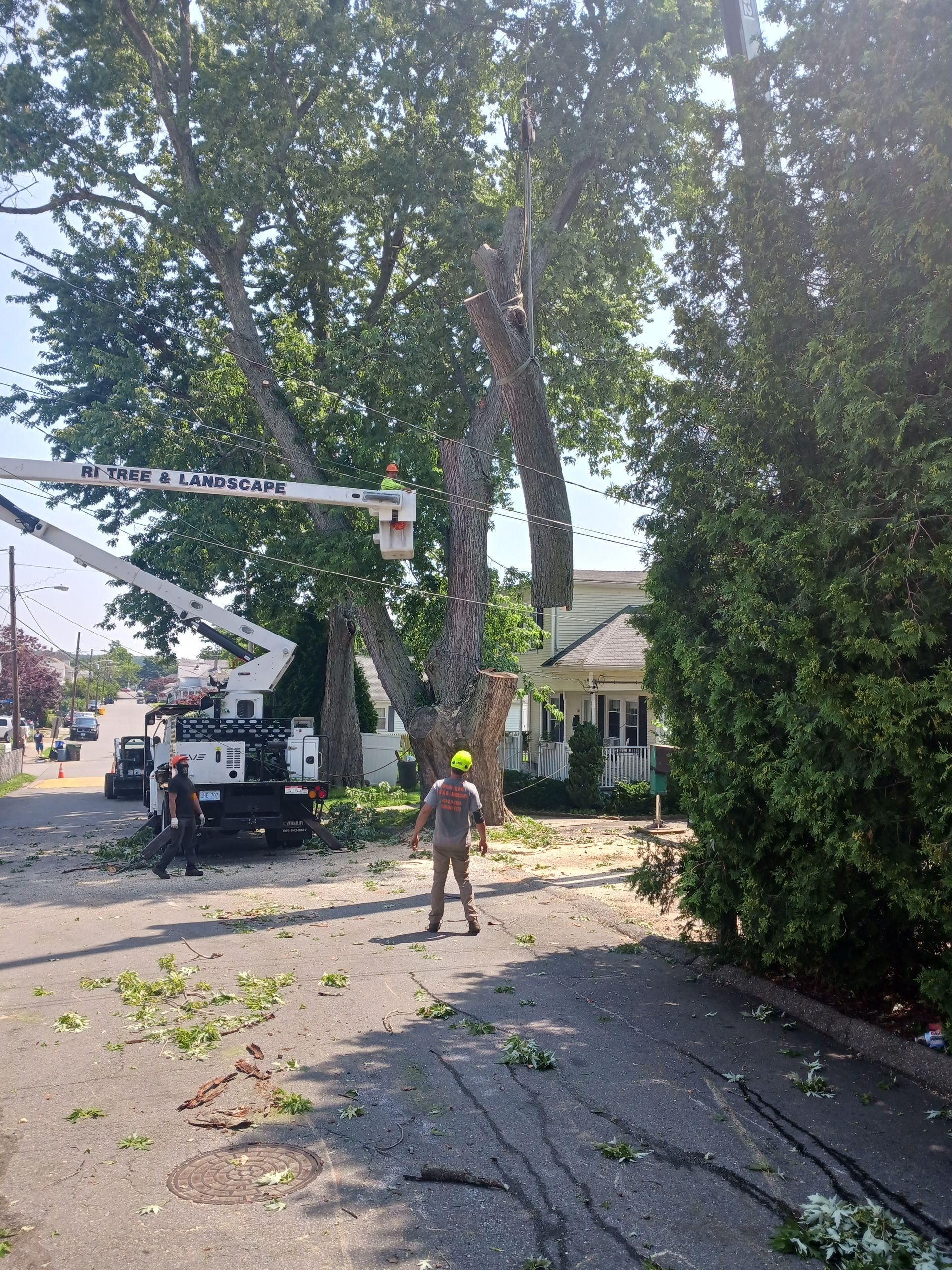 A man is standing in front of a tree being cut down by a crane.