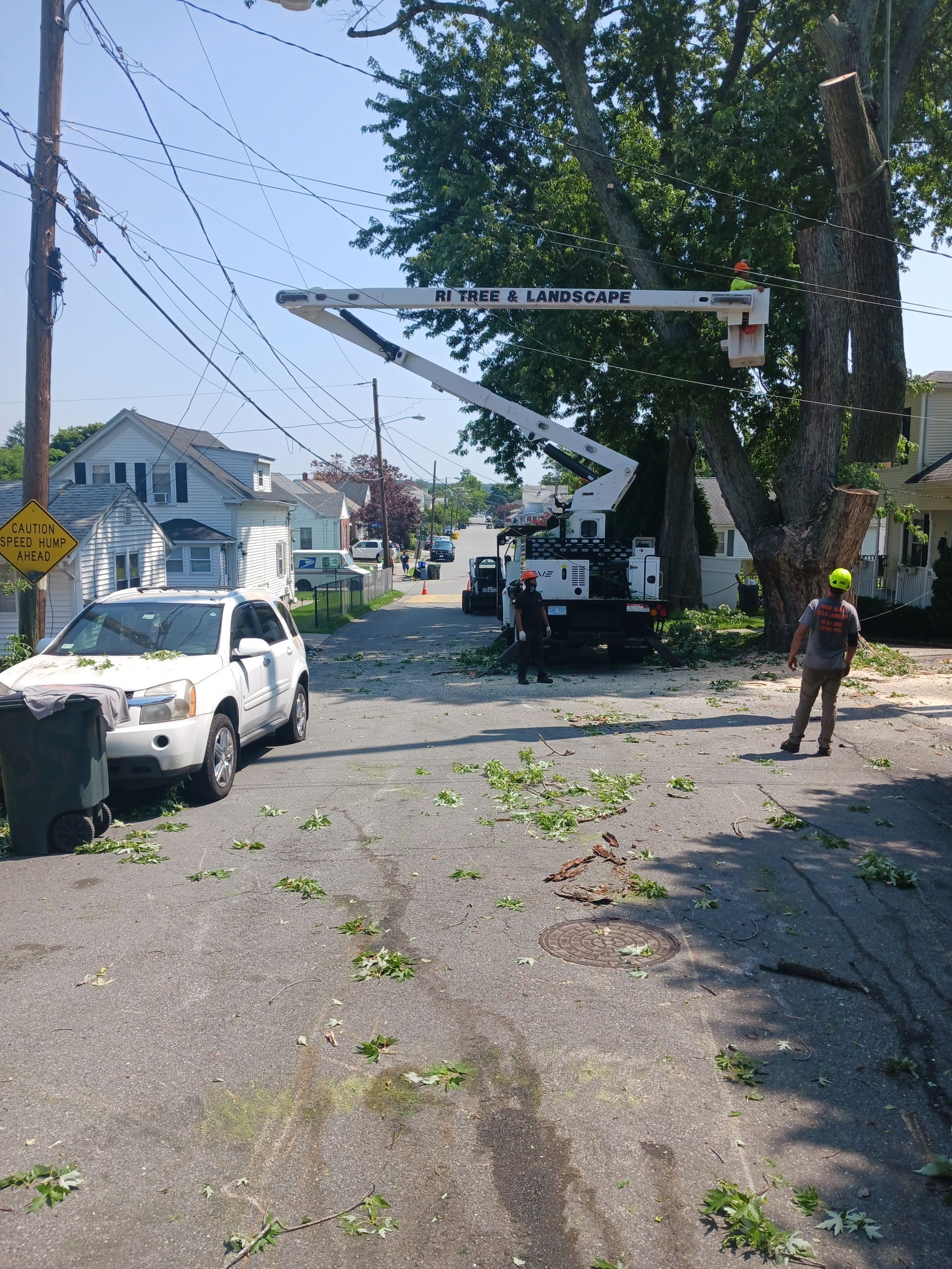 A man is standing on the side of the road next to a tree being cut down.