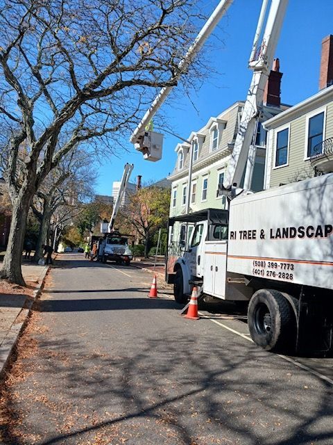 A tree and landscape truck is parked on the side of the road