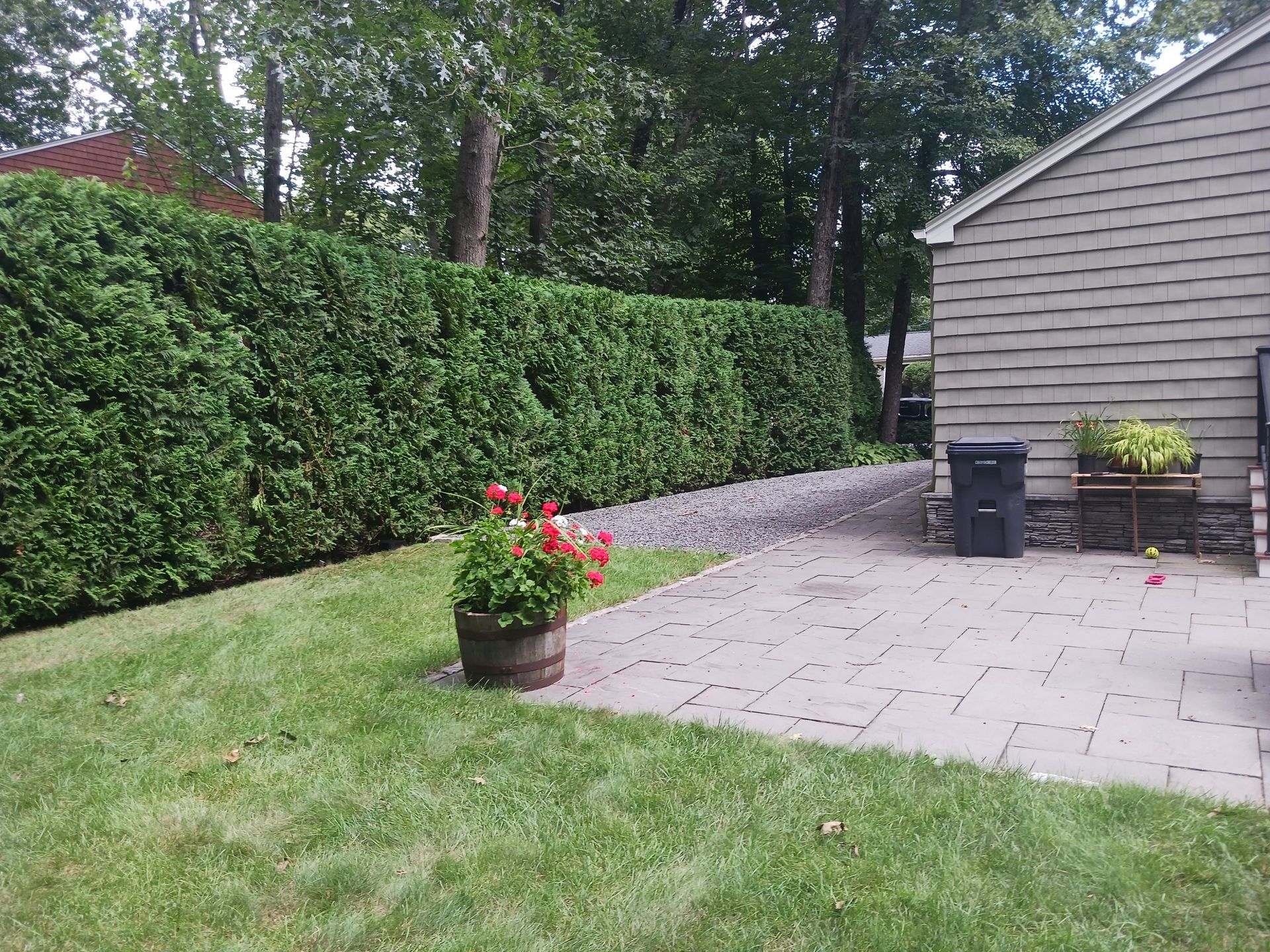 A potted plant is sitting in the grass in front of a fence.
