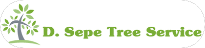 A logo for a tree service company with a tree in the middle.