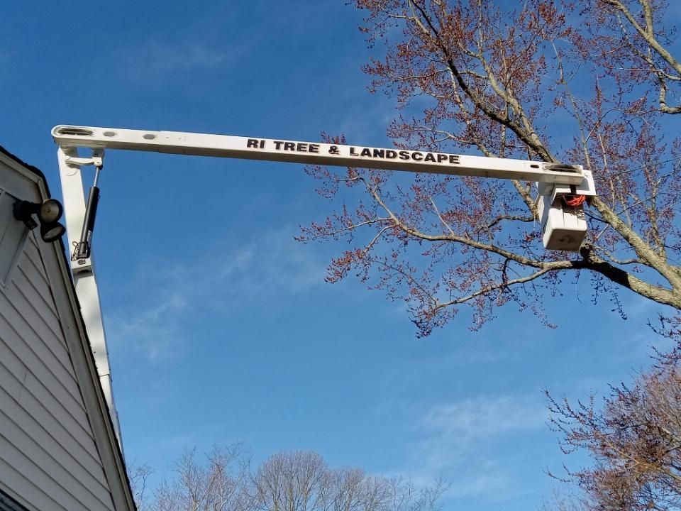 A man in a bucket is cutting a tree in front of a house.